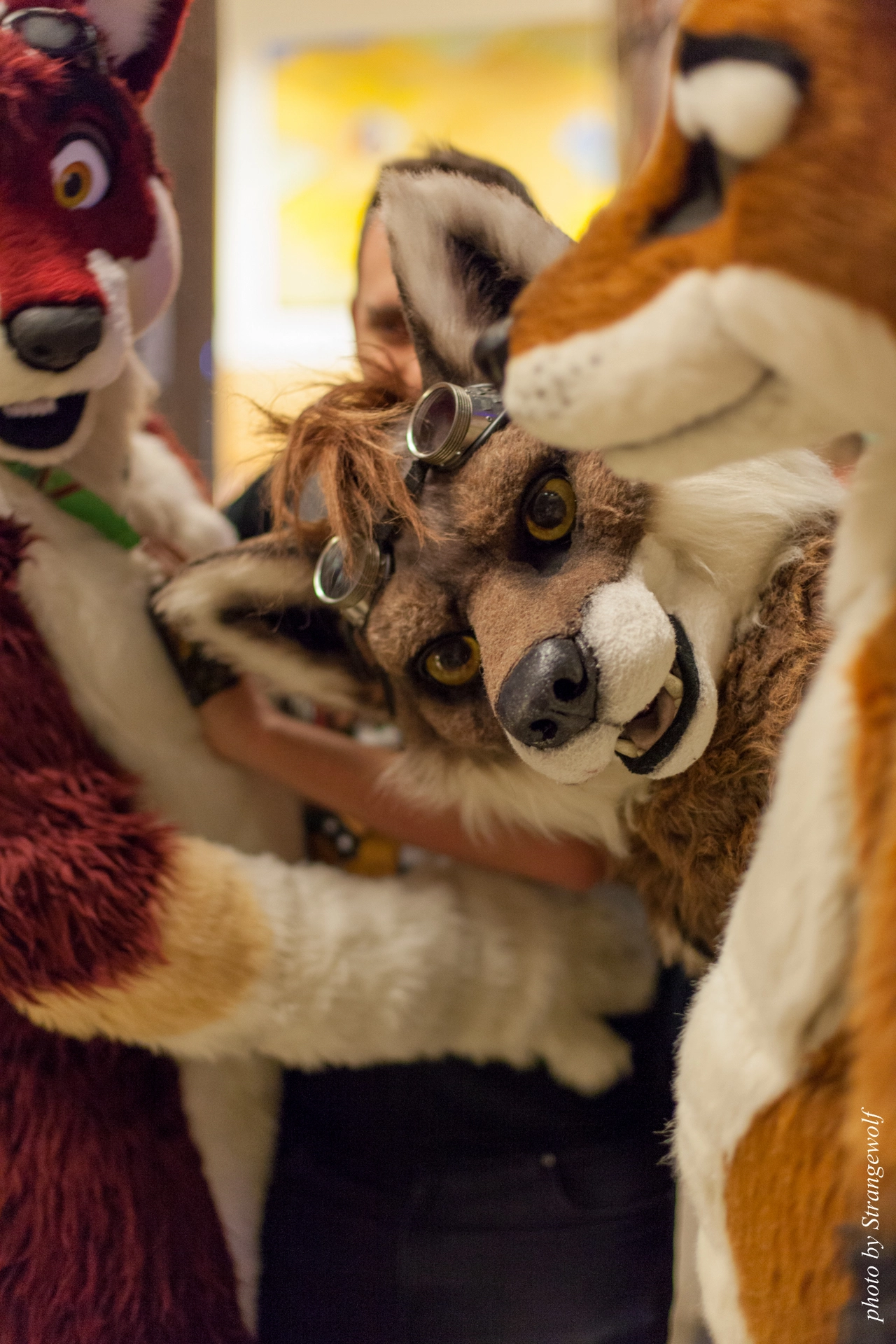 full image IMG_9369-lr19t.jpg