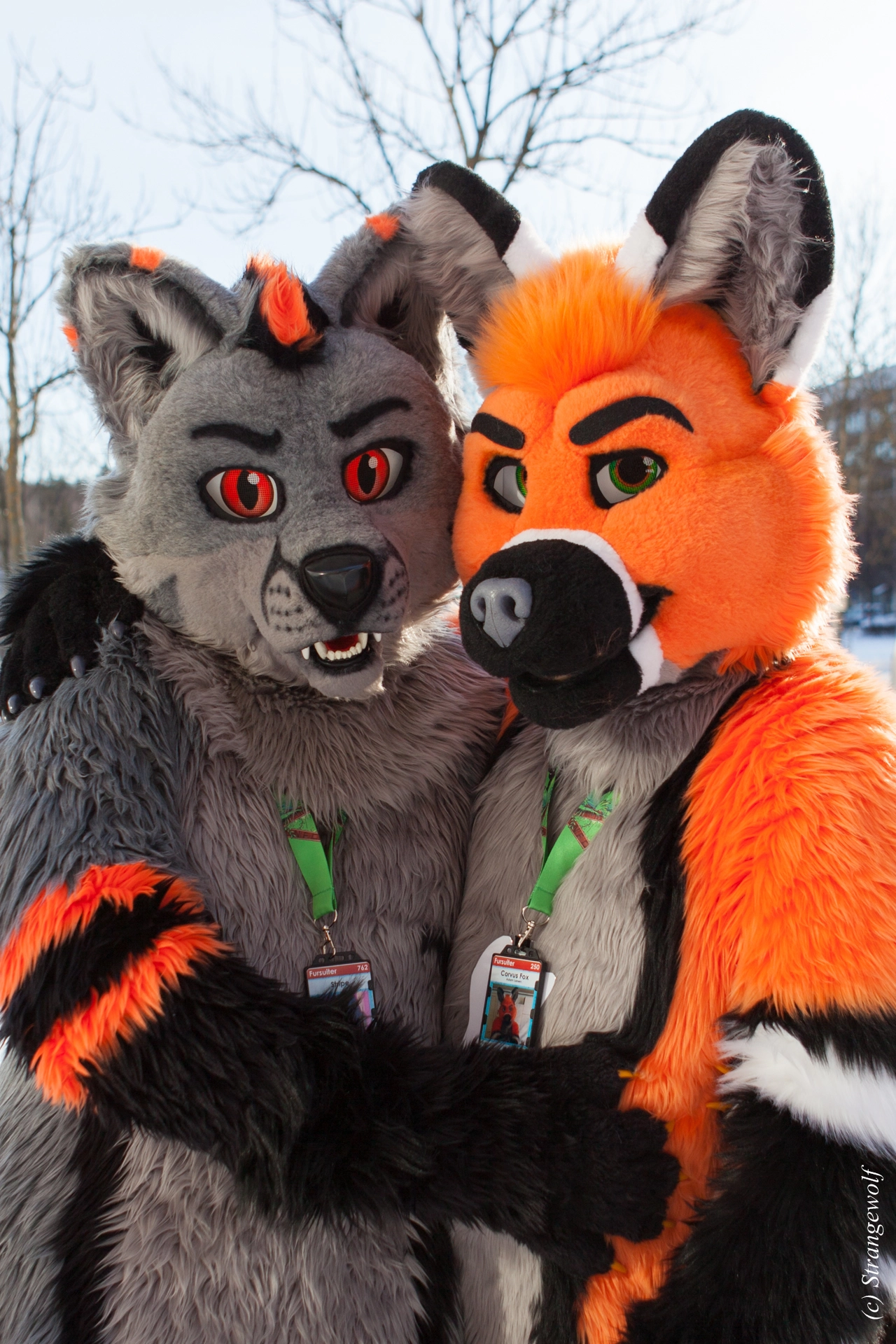 full image IMG_0130-lr19t.jpg