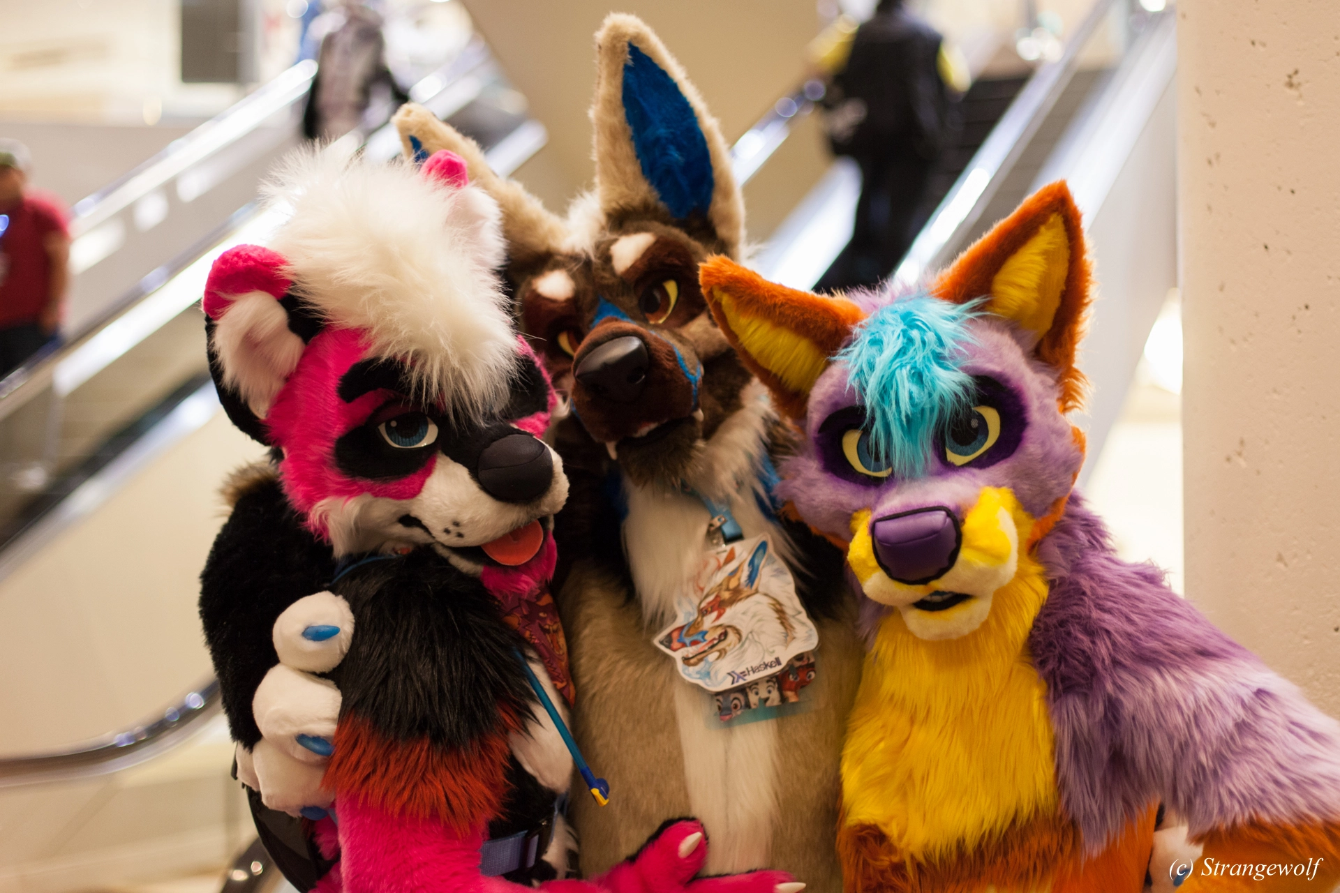 full image IMG_1833-lr19t.jpg