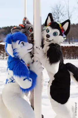 IMG_9837-lr19t.jpg of NFC/NFC2018/