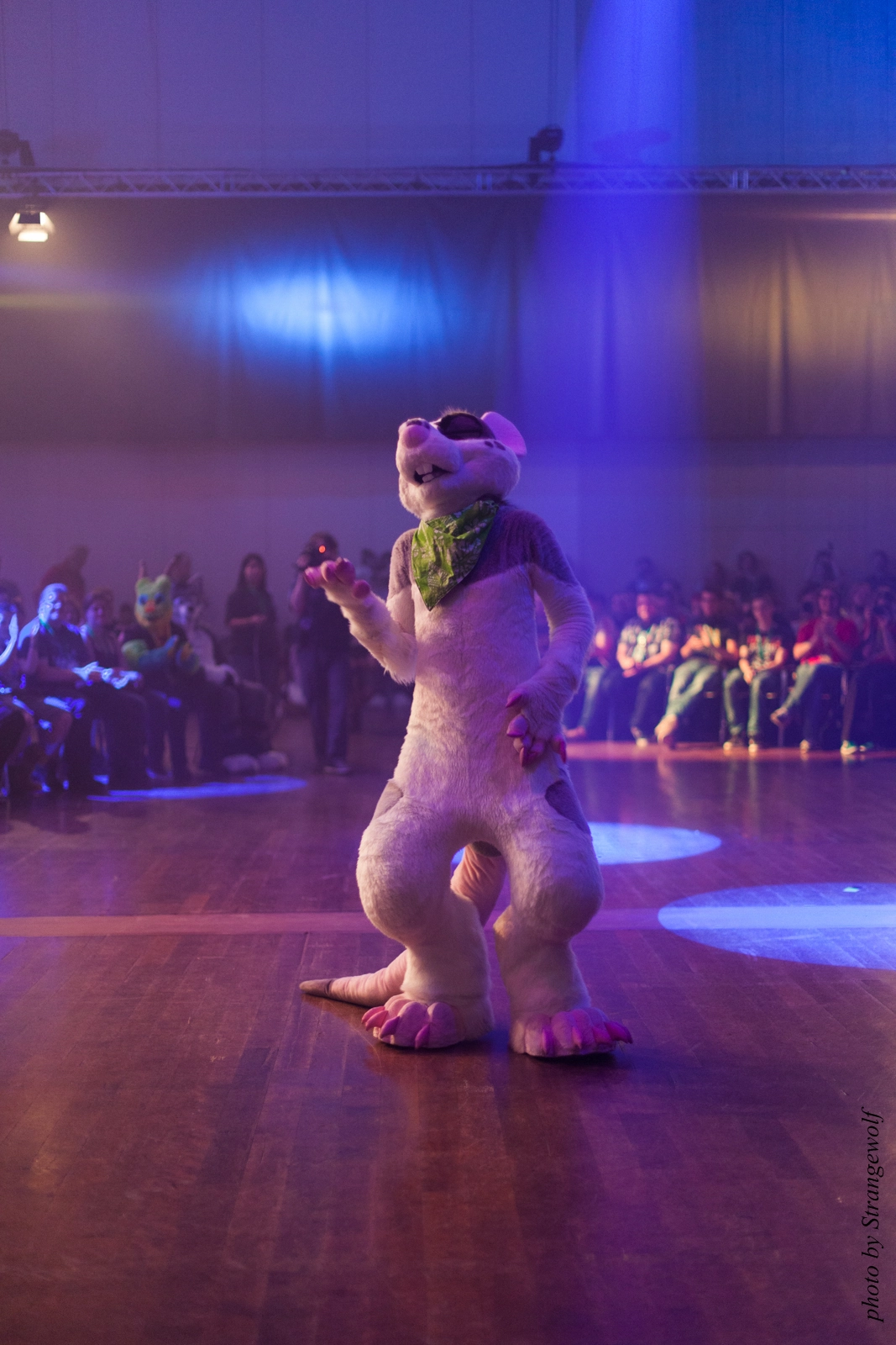 full image IMG_2452-lr16t.jpg