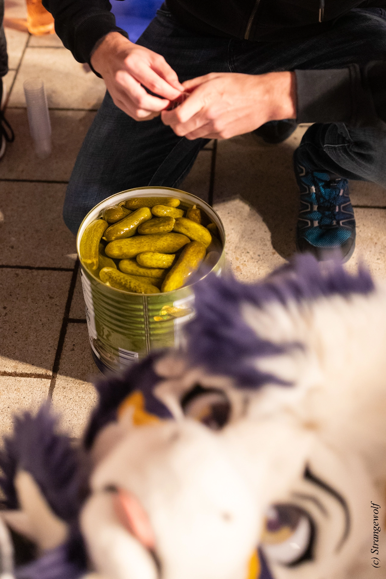 full image 1R3A9560-lr19t.jpg