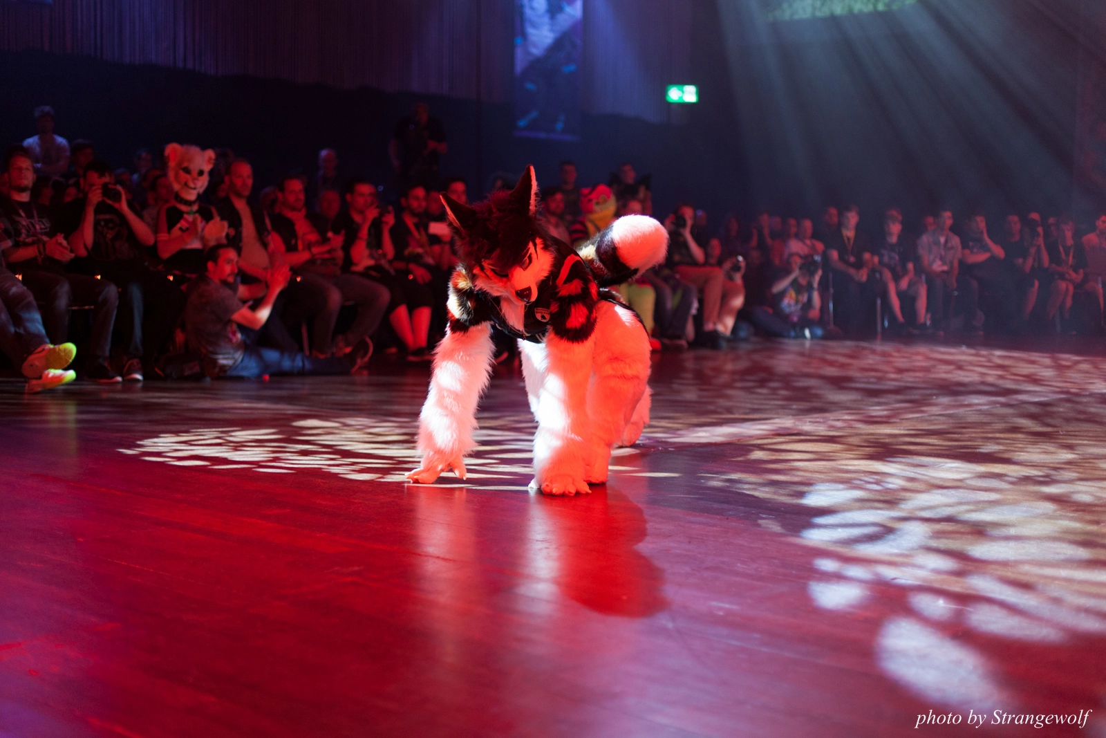 full image IMG_9428-lr16t.jpg