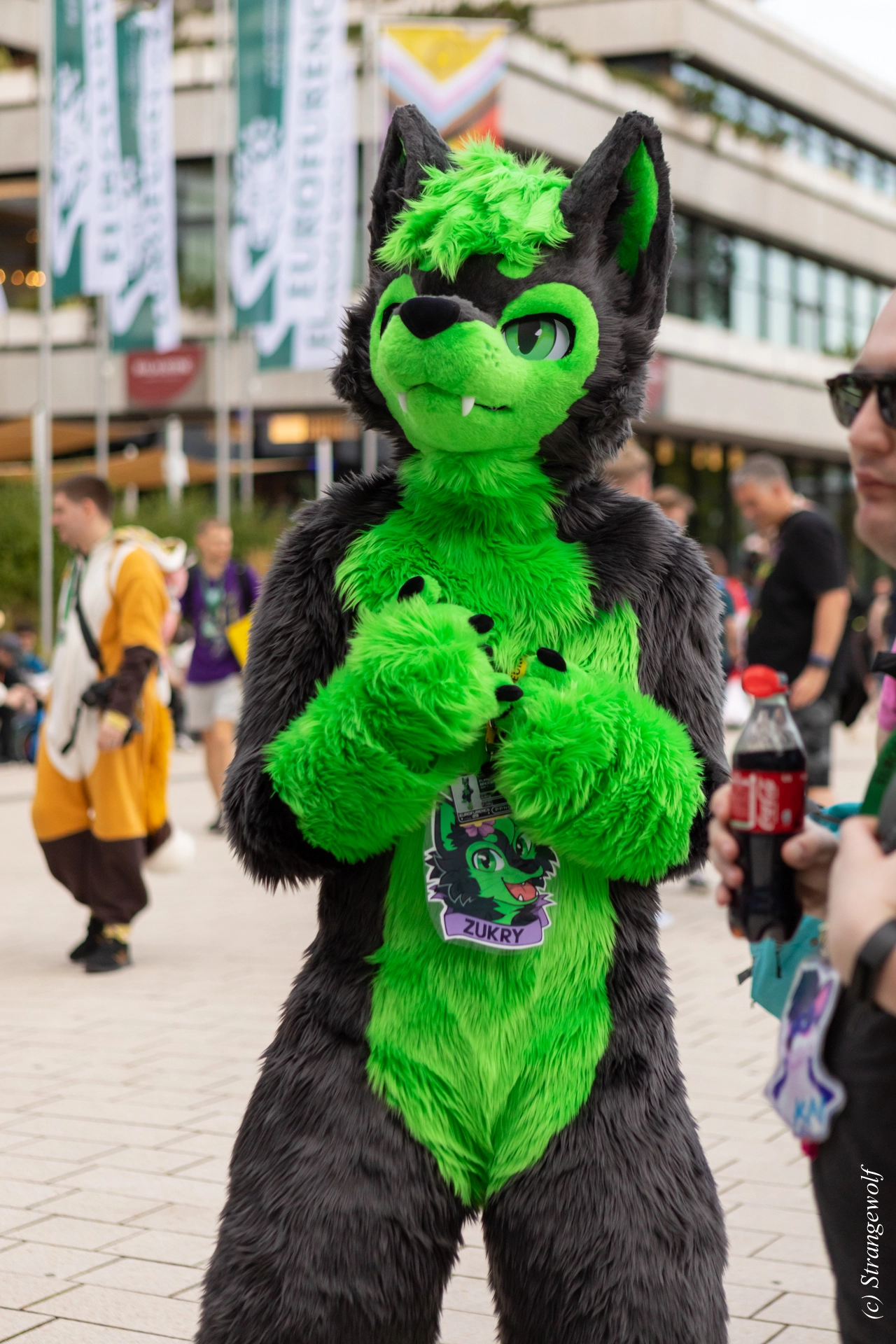 full image 1R3A9085-lr19t.jpg