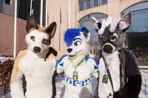 IMG_9639-lr19t.jpg of NFC/NFC2018/