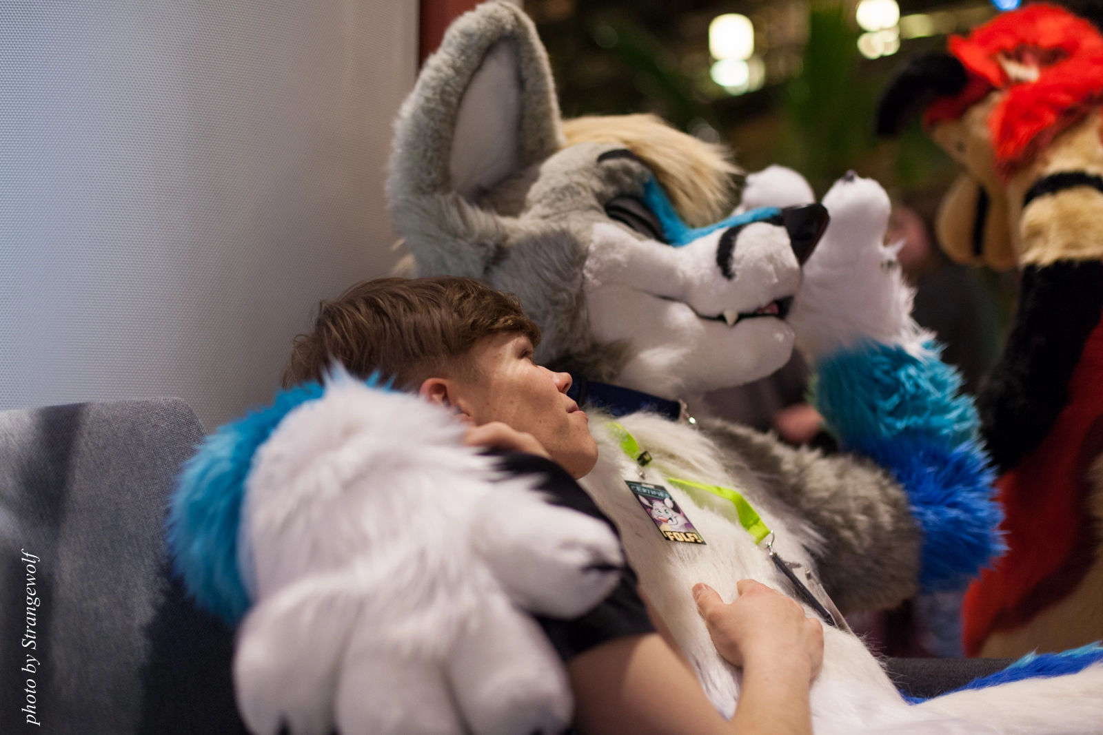 full image IMG_2506-lr16t.jpg