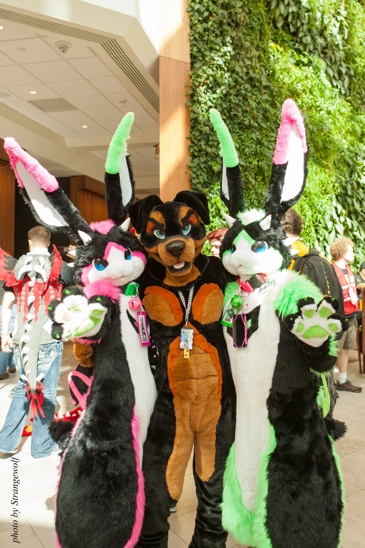 full image IMG_5009-lr19t.jpg