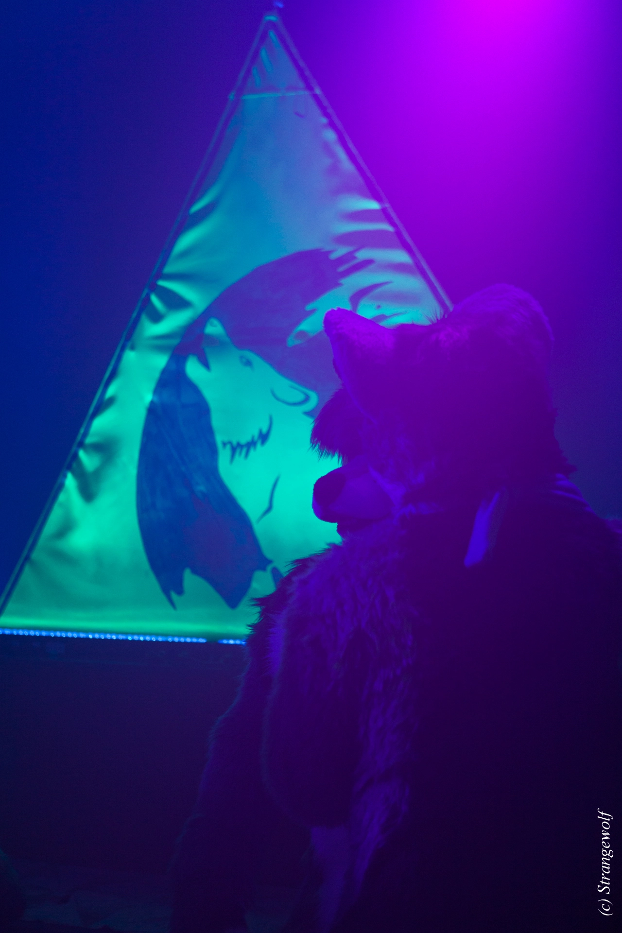 full image IMG_0798-lr19t.jpg