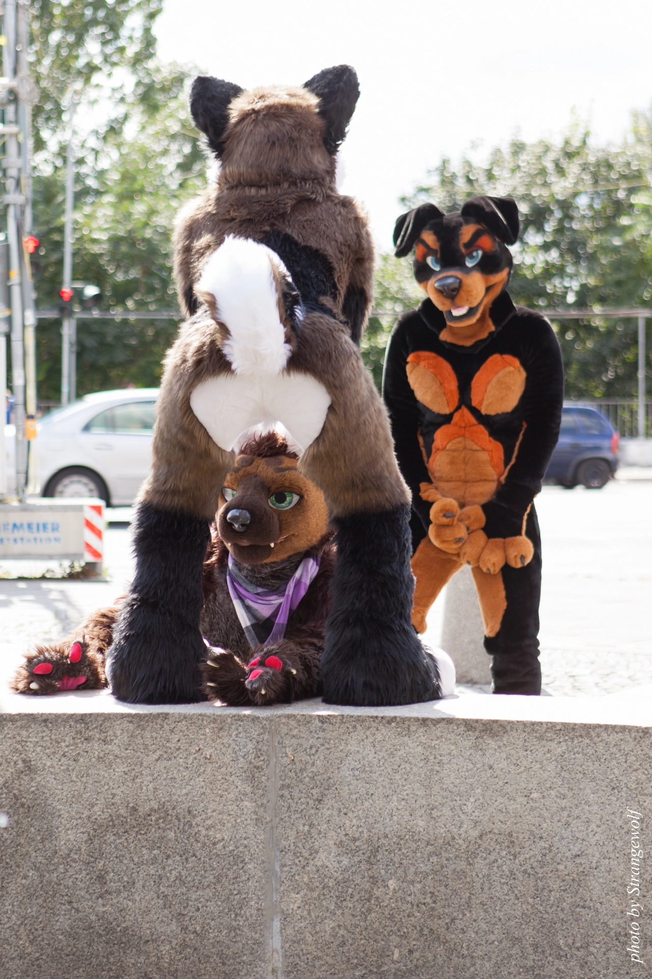 full image IMG_7219-lr19t.jpg