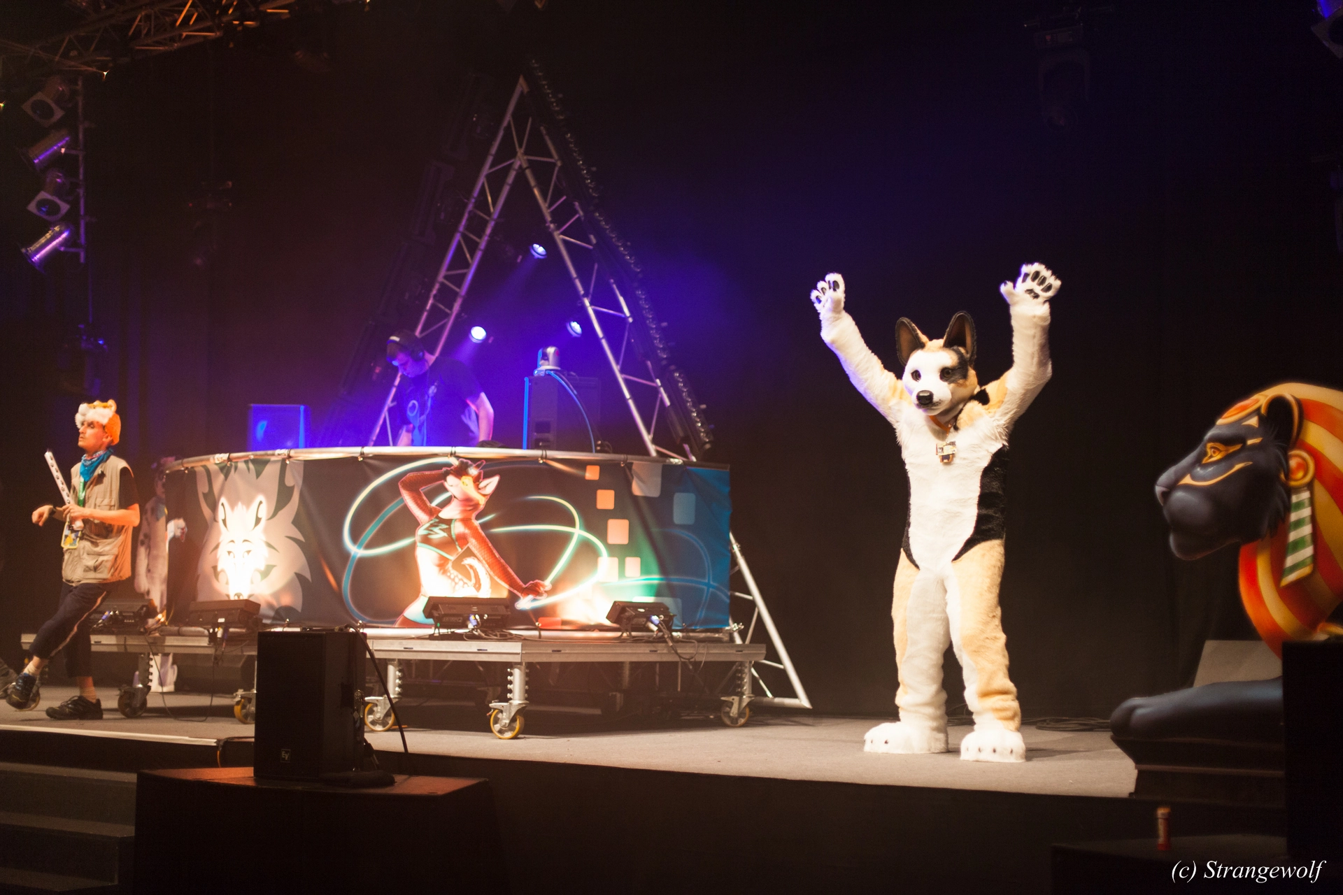 full image IMG_6686-lr19t.jpg