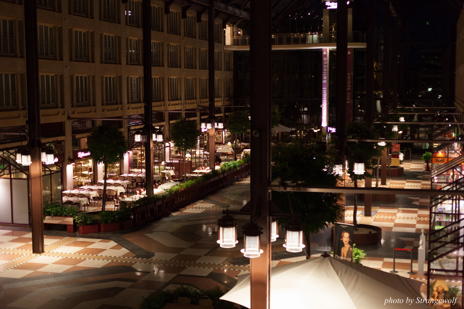 full image IMG_8866-lr16t.jpg