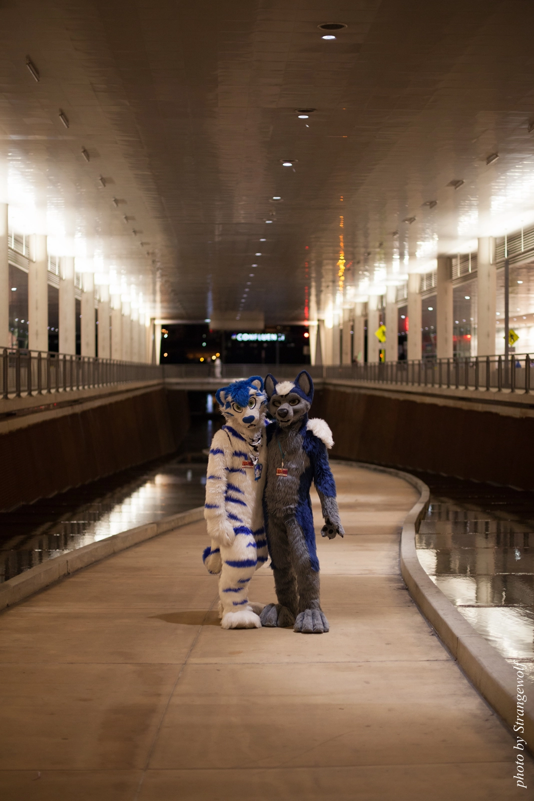 full image IMG_8024-lr16t.jpg