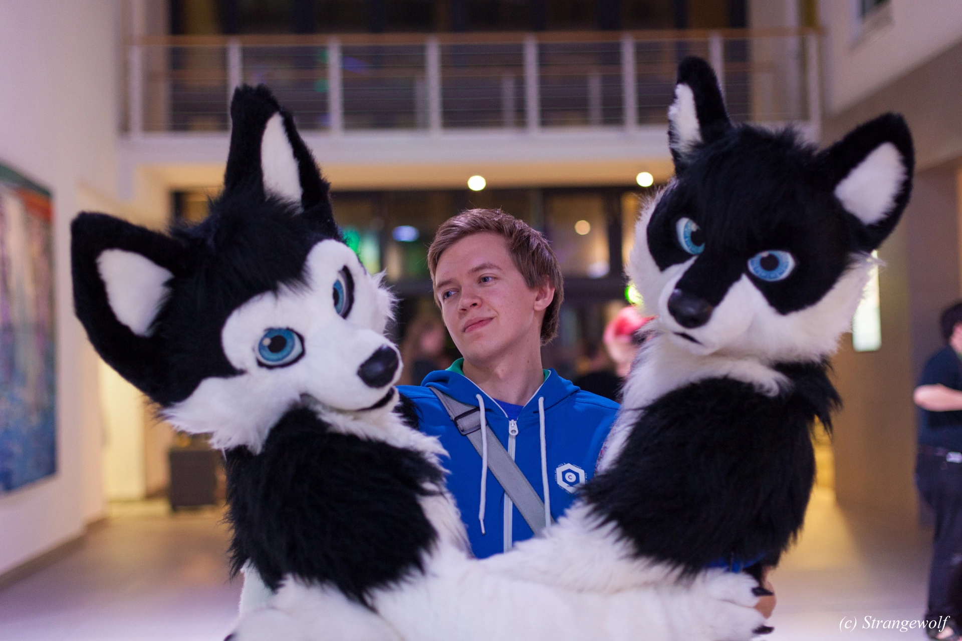 full image IMG_5419-lr19t.jpg