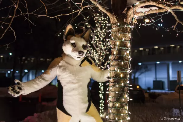 IMG_7183-lr19t.jpg of MFF/MFF2018/