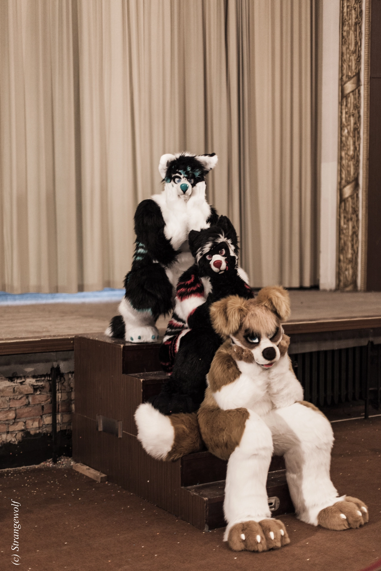 full image IMG_5851-lr19t.jpg