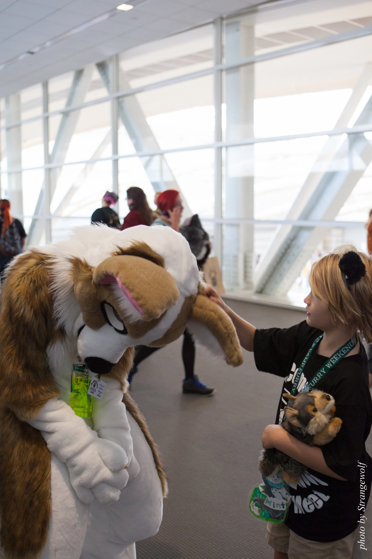 full image IMG_4608-lr19t.jpg