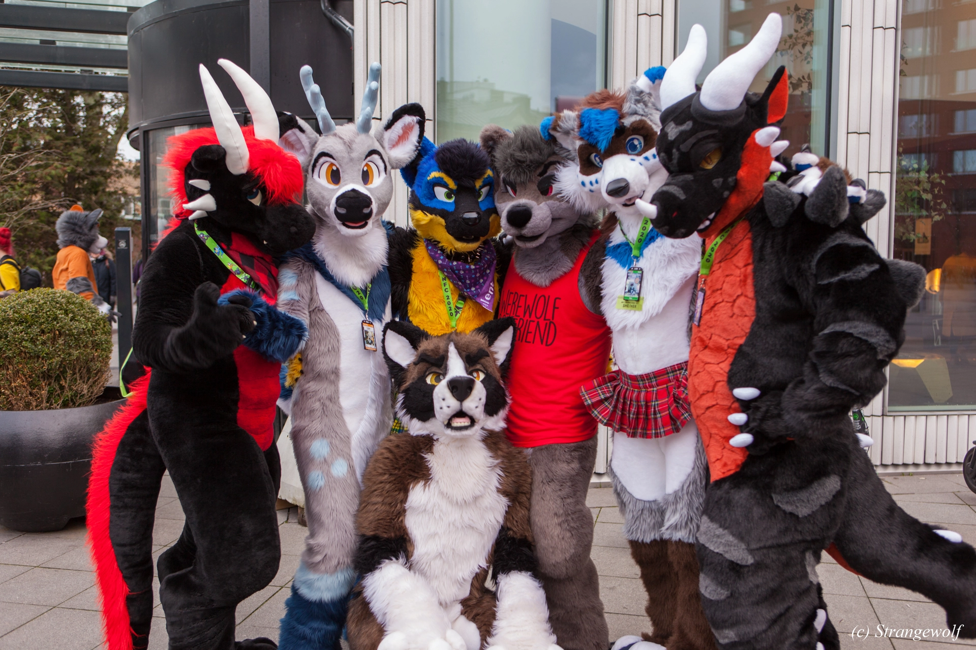 full image IMG_9017-lr19t.jpg