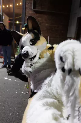 1R3A2615-lr19t.jpg of Furstrike/Furstrike 2022/
