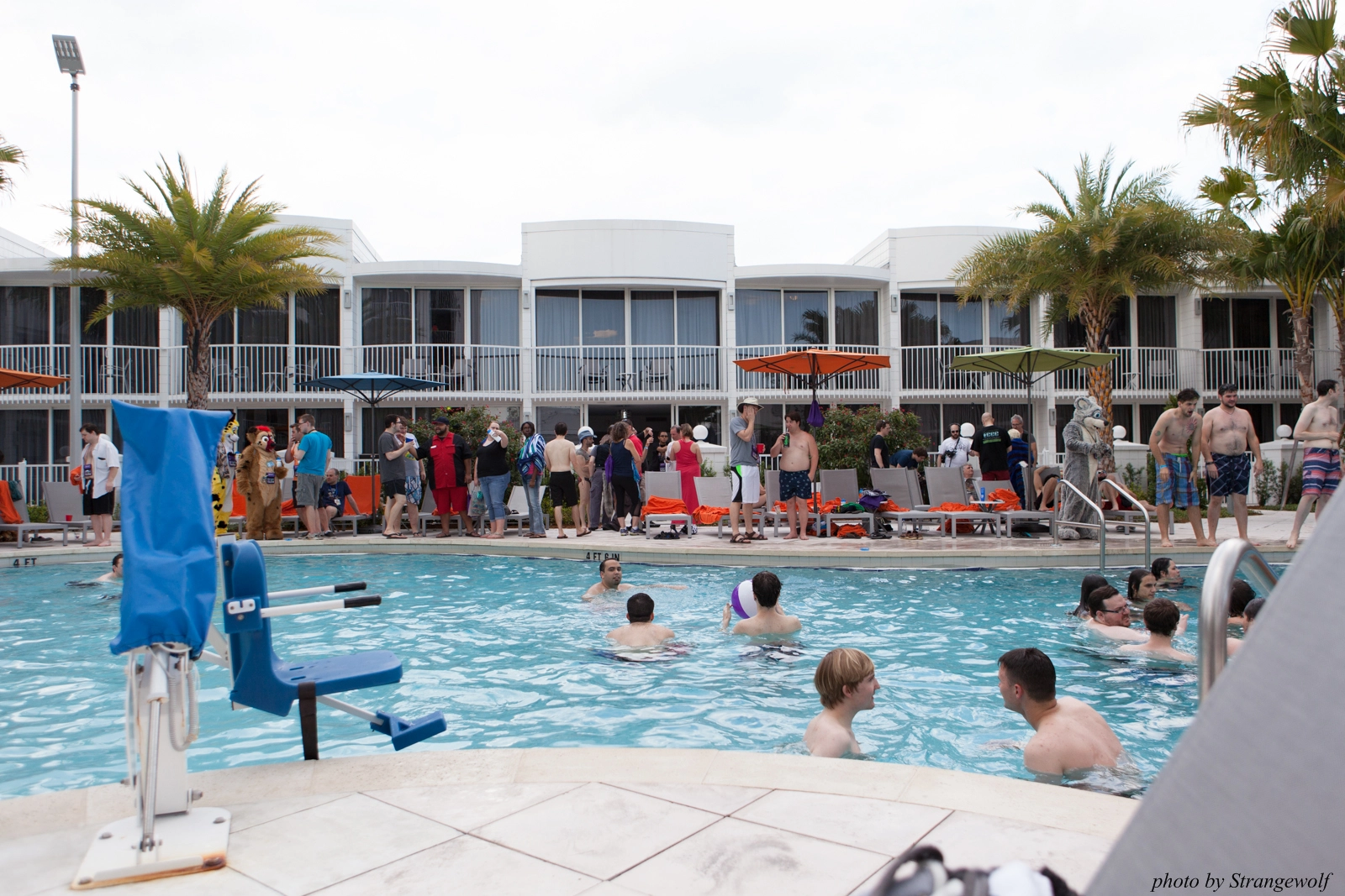 full image IMG_8314-lr16t.jpg