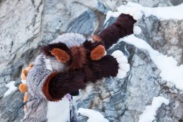 IMG_0675-lr19t.jpg of NFC/NFC2018/