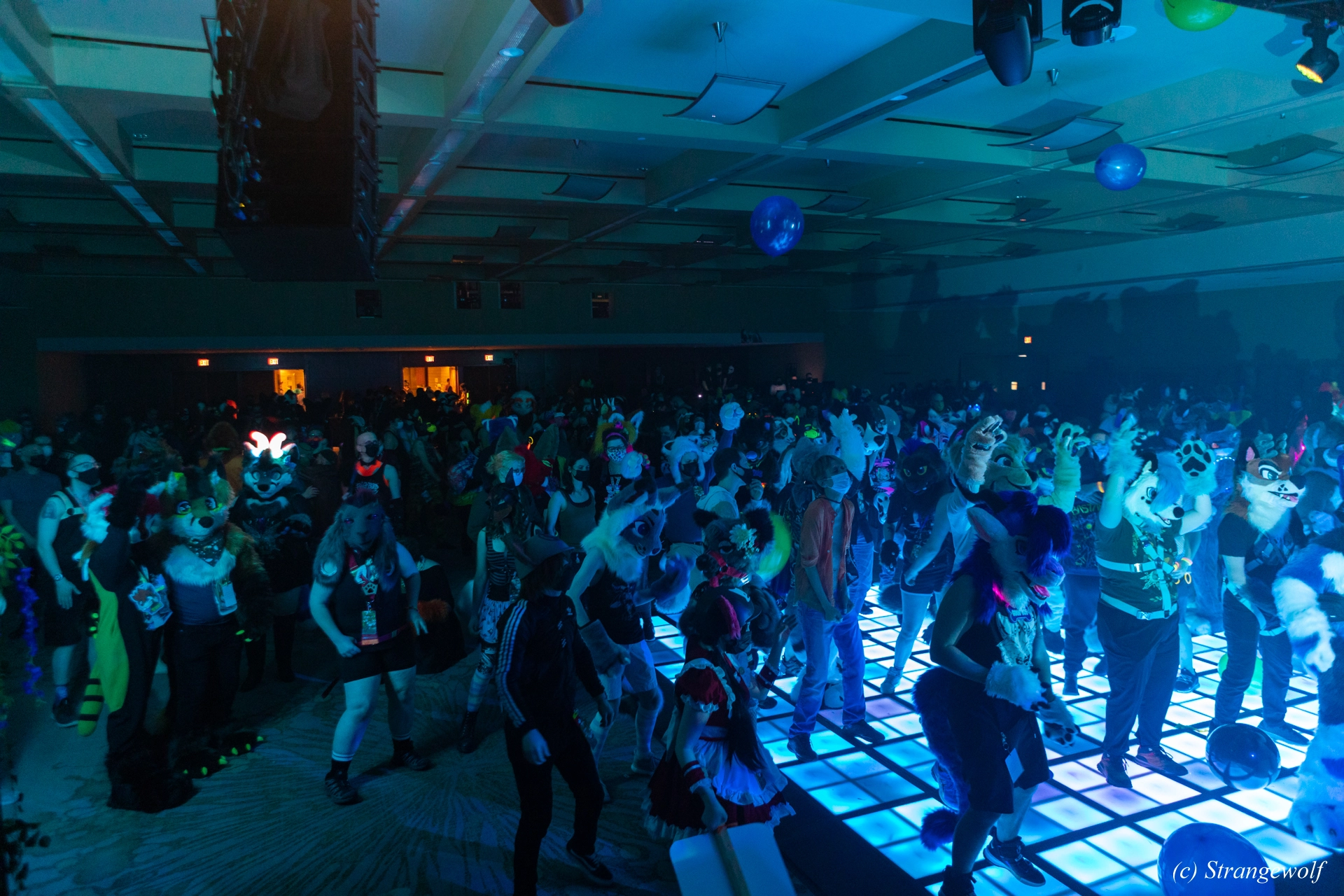 full image 1R3A0965-lr19t.jpg