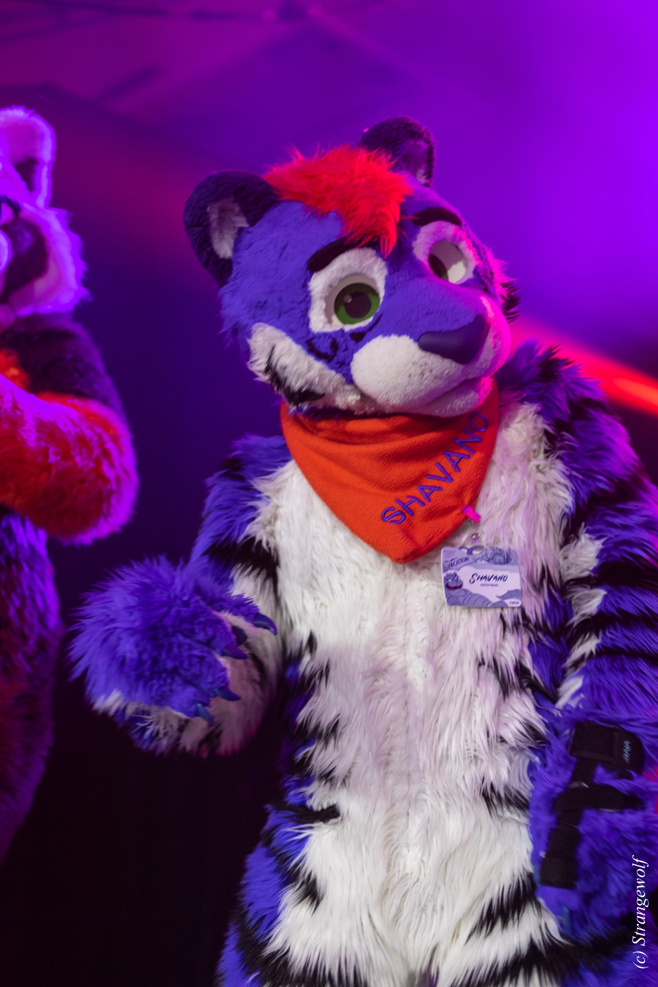 full image 1R3A0764-lr19t.jpg