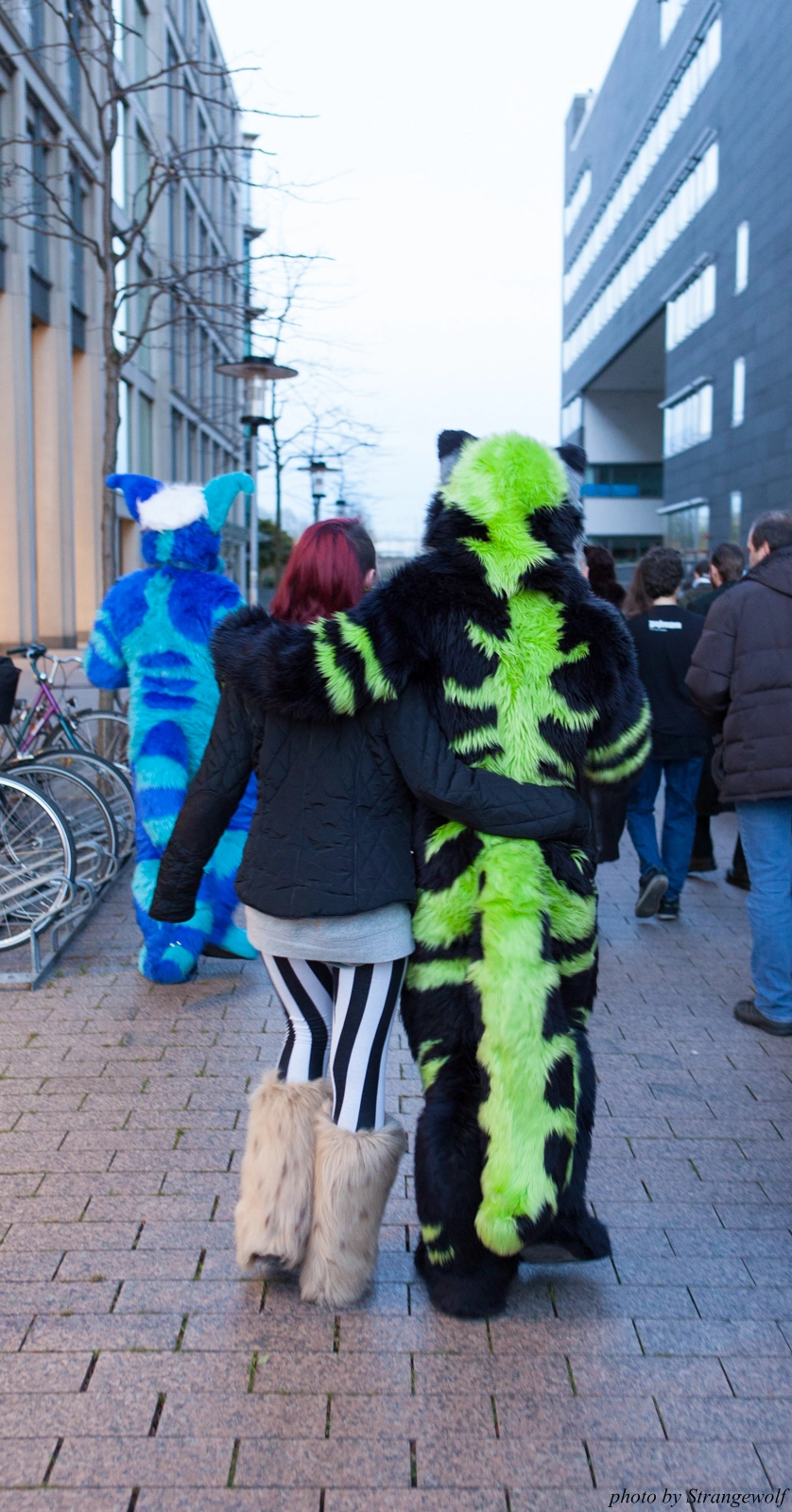 full image IMG_5411-lr16t.jpg