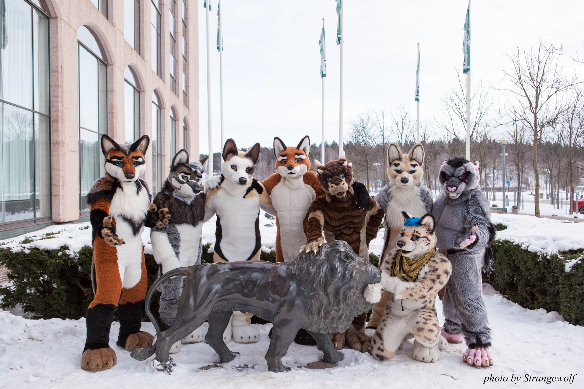 full image IMG_0273-lr19t.jpg