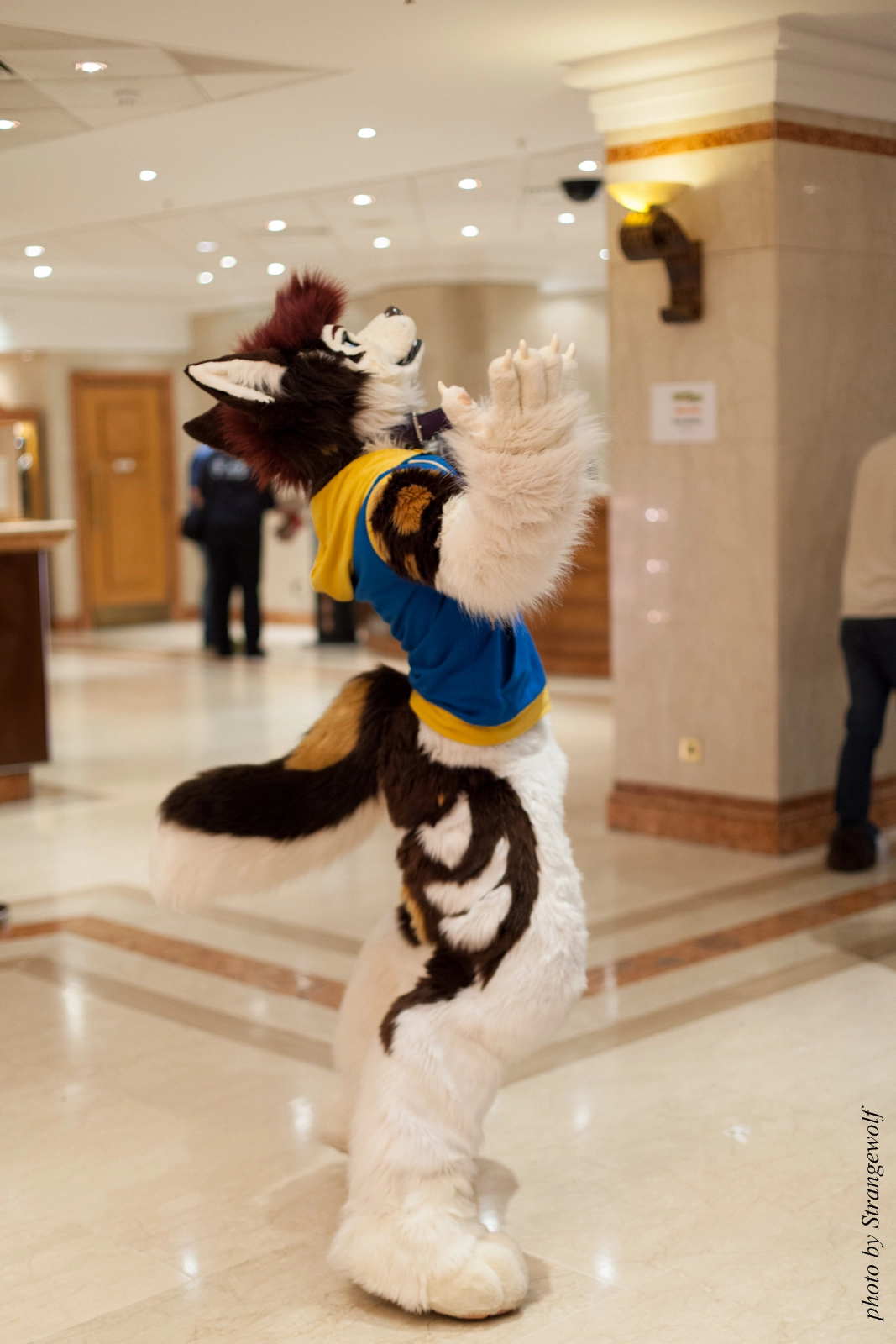 full image IMG_7613-lr16t.jpg