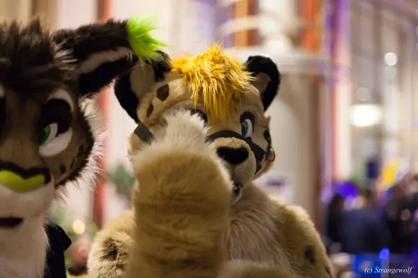 IMG_9460-lr19t.jpg of NFC/NFC2019/