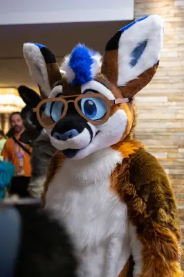 1R3A0297-lr19t.jpg of MFF/MFF2025/