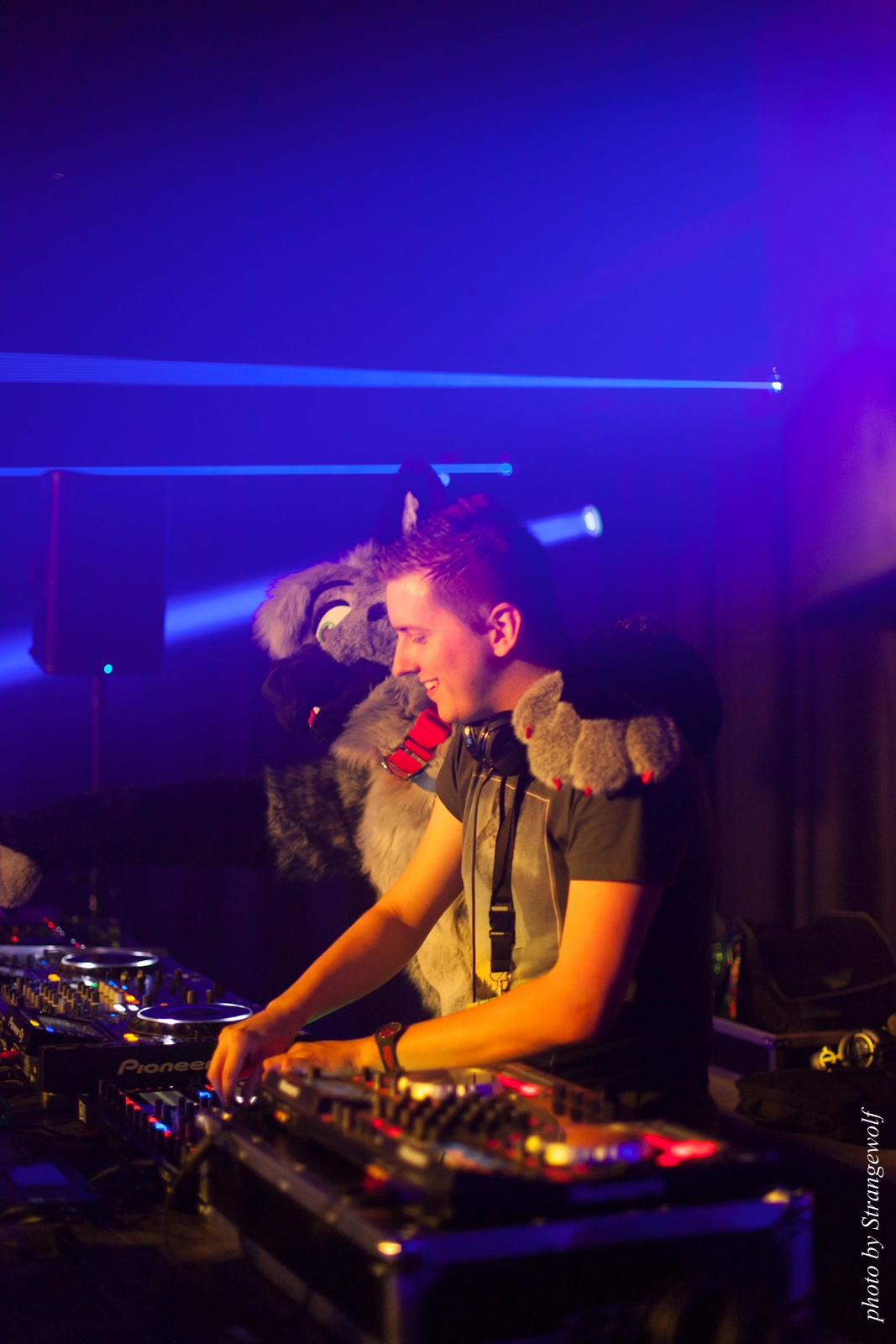 full image IMG_8747-lr16t.jpg