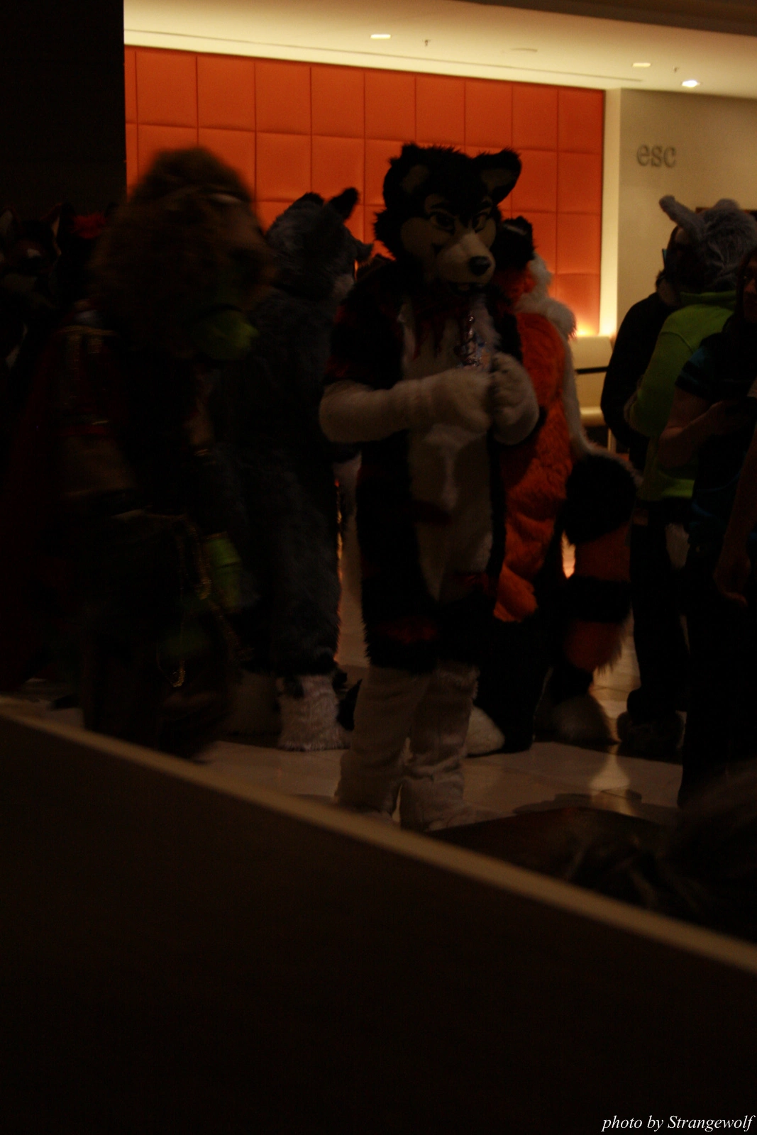 full image IMG_0293-lr.jpg