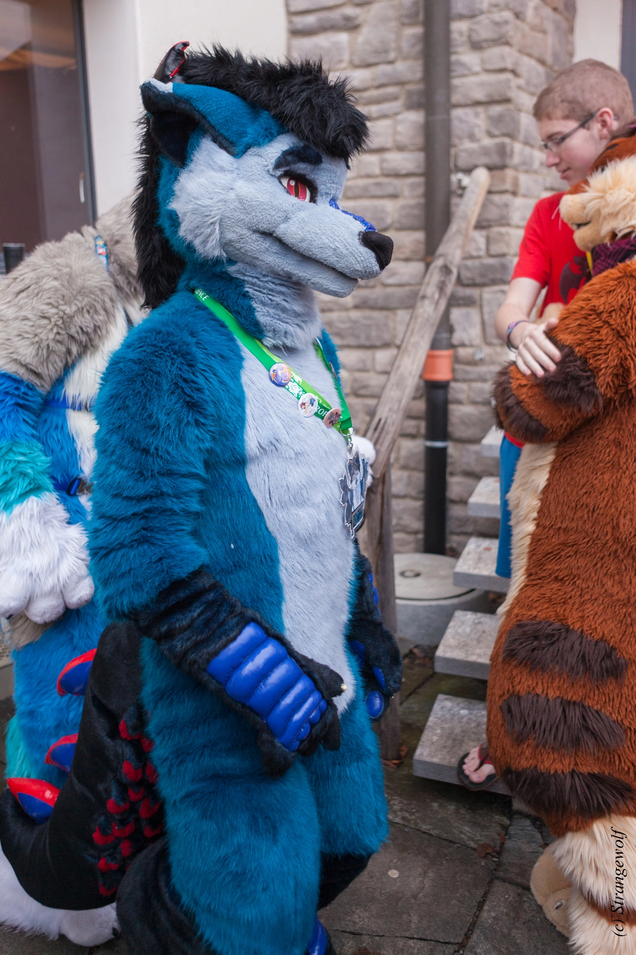 full image IMG_7029-lr19t.jpg