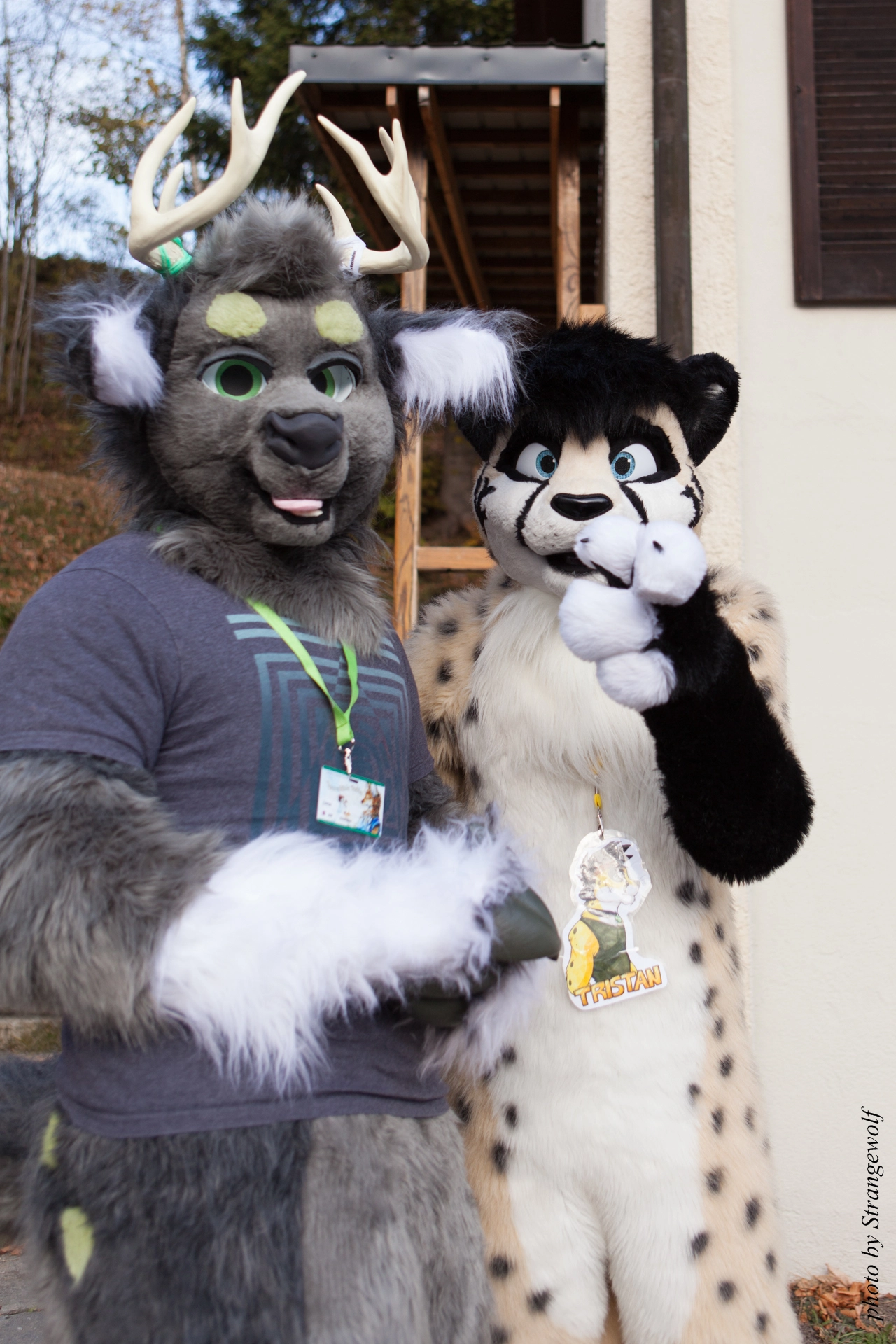 full image IMG_7869-lr19t.jpg