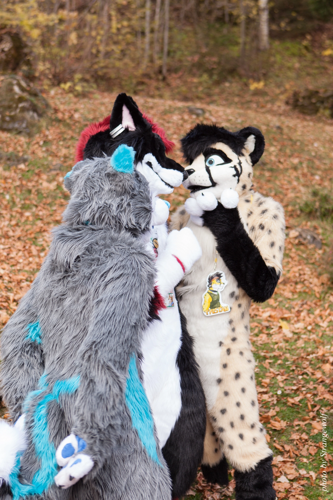 full image IMG_7897-lr19t.jpg