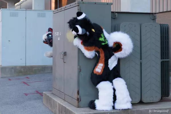 IMG_0977-lr.jpg of MFF/MFF2021/
