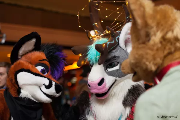 IMG_7346-lr19t.jpg of MFF/MFF2018/