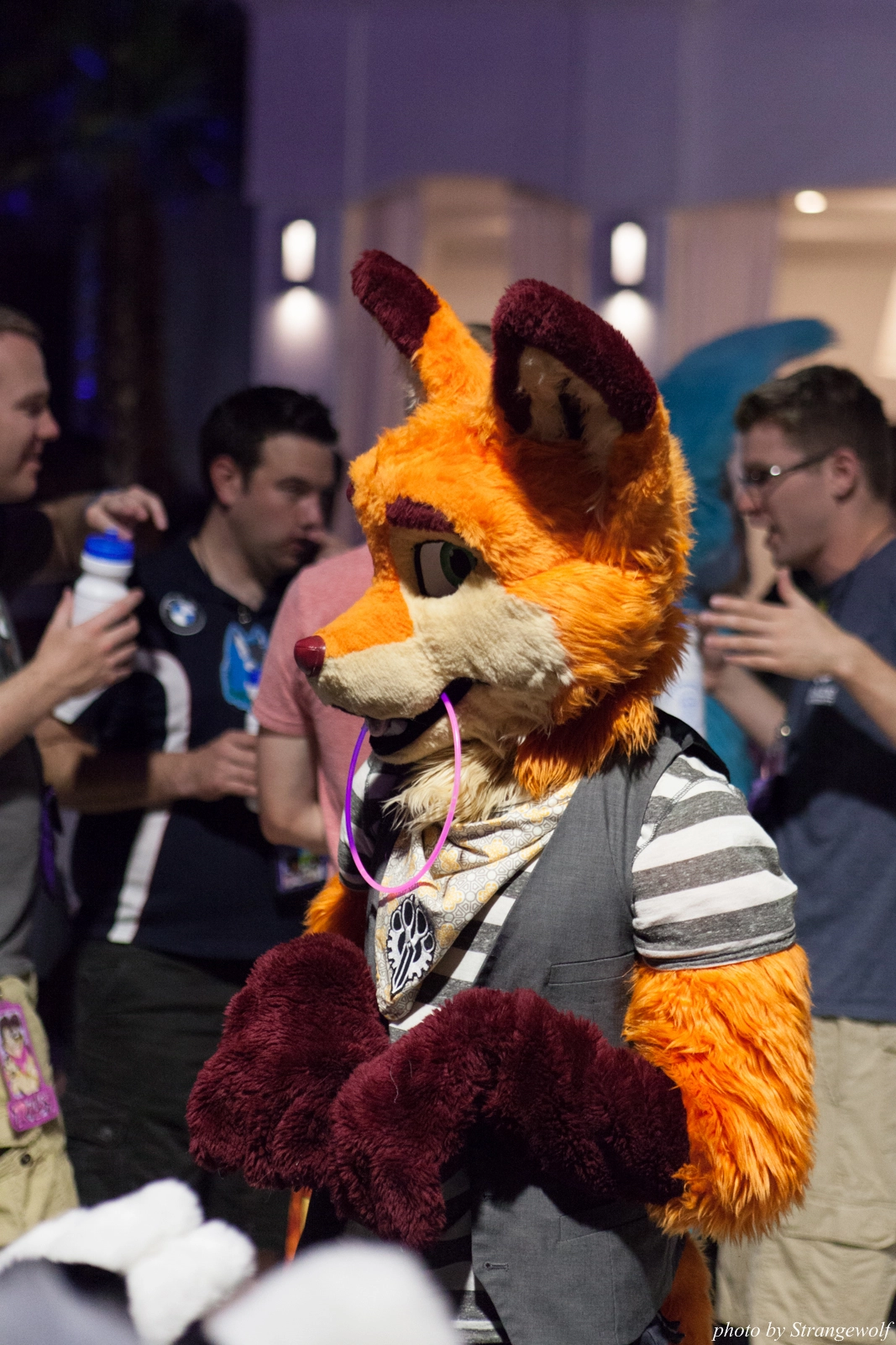 full image IMG_8628-lr16t.jpg