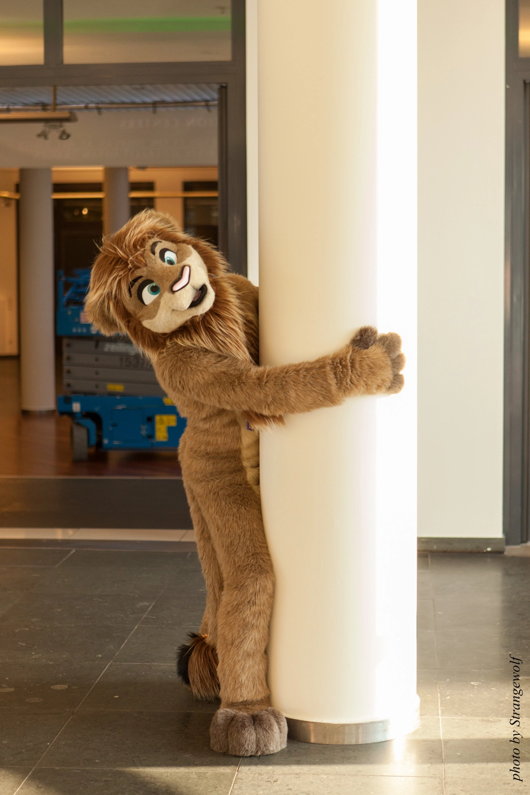 full image IMG_7283-lr16t.jpg
