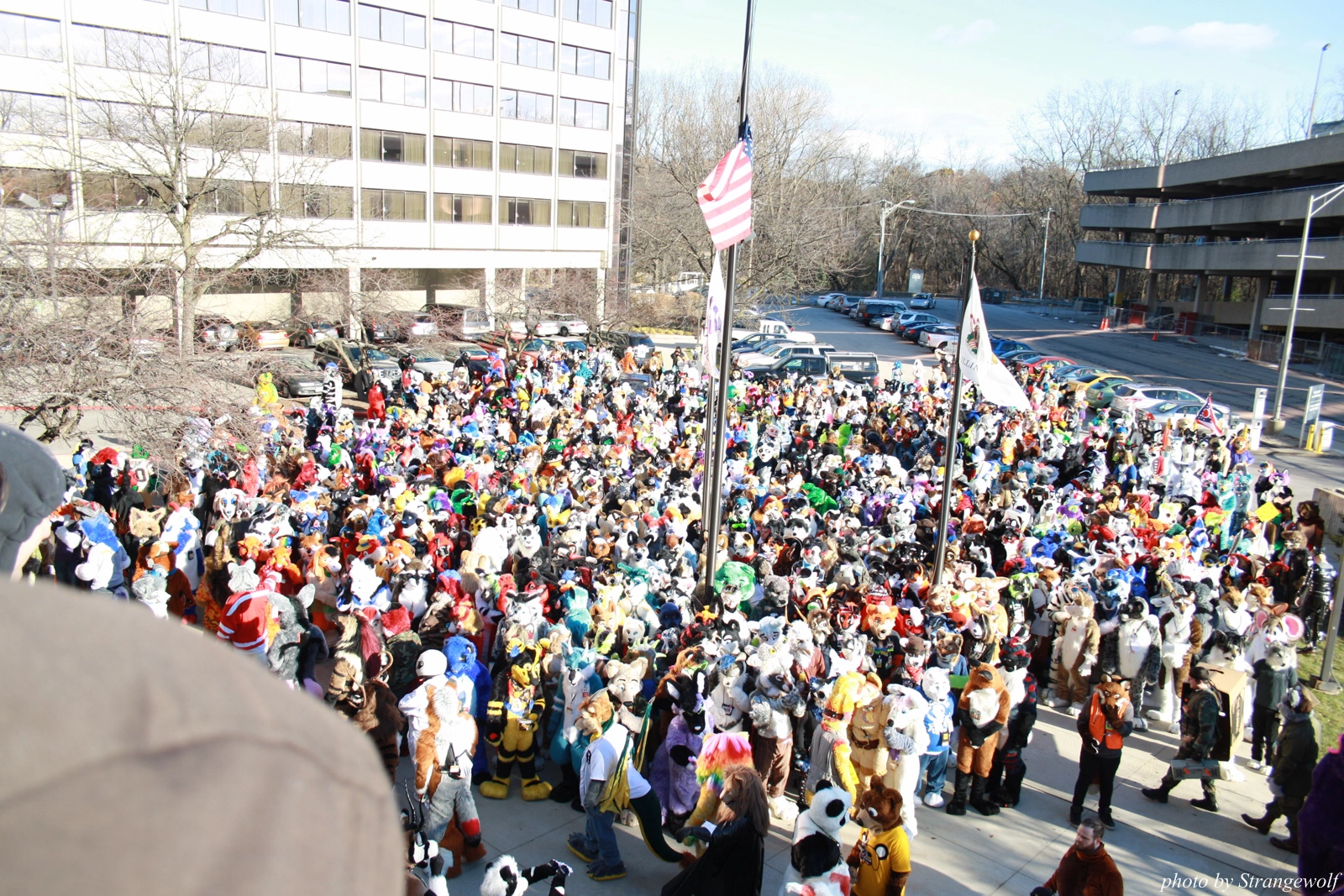 full image IMG_0634-lr.jpg