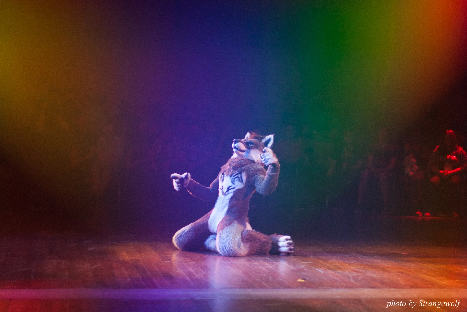 full image IMG_2778-lr16t.jpg