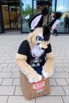 1R3A9287-lr19t.jpg of EF/EF29/