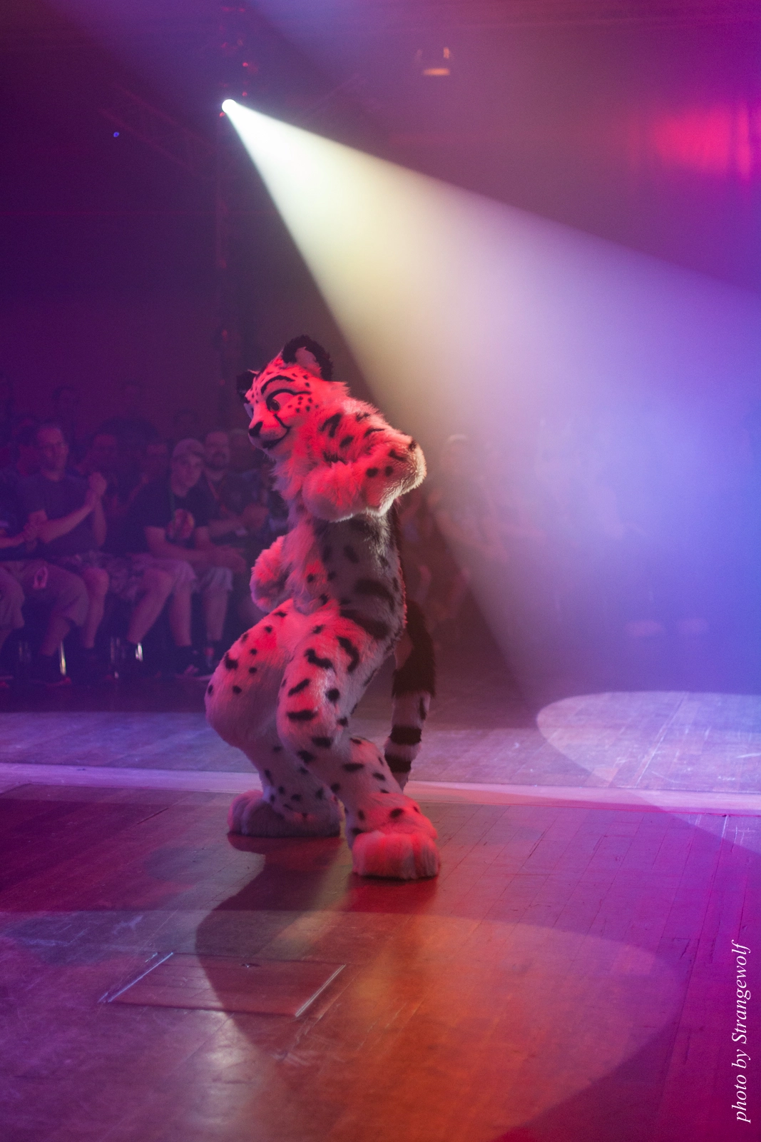 full image IMG_2561-lr16t.jpg
