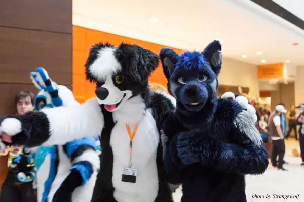 IMG_8162-lr19t.jpg of MFF/MFF2017/