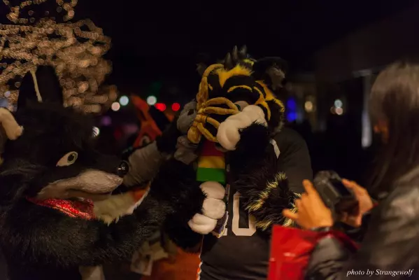 IMG_0795-lr16t.jpg of MFF/MFF2016/