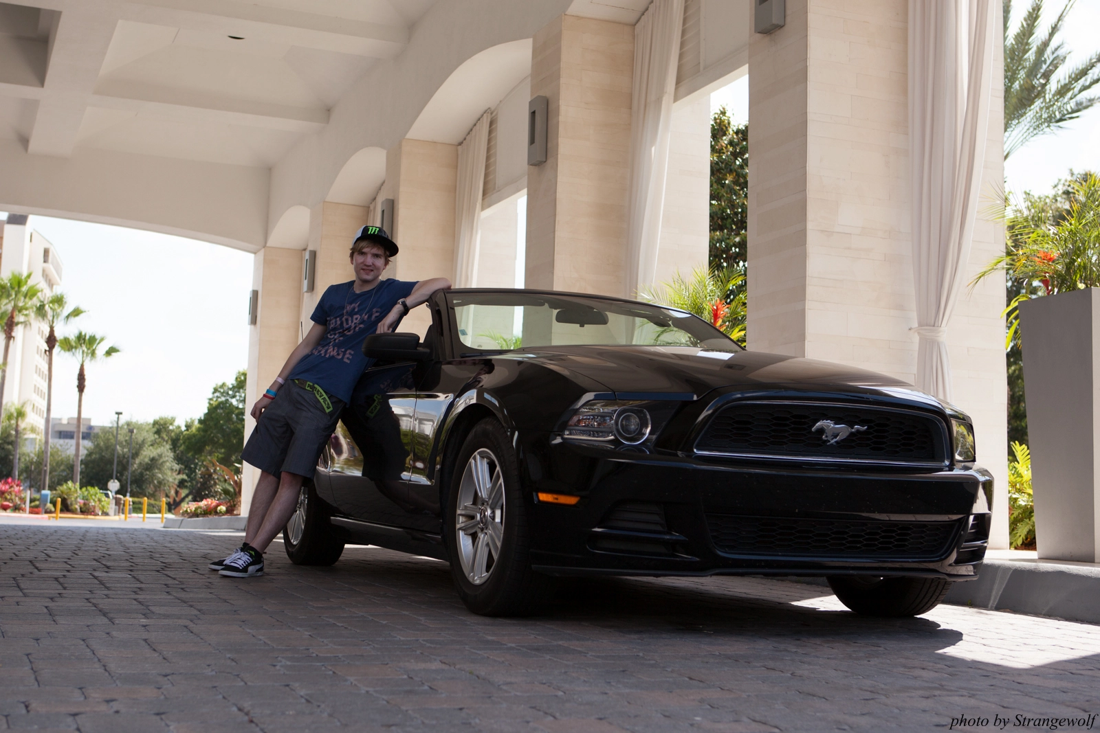 full image IMG_8845-lr16t.jpg