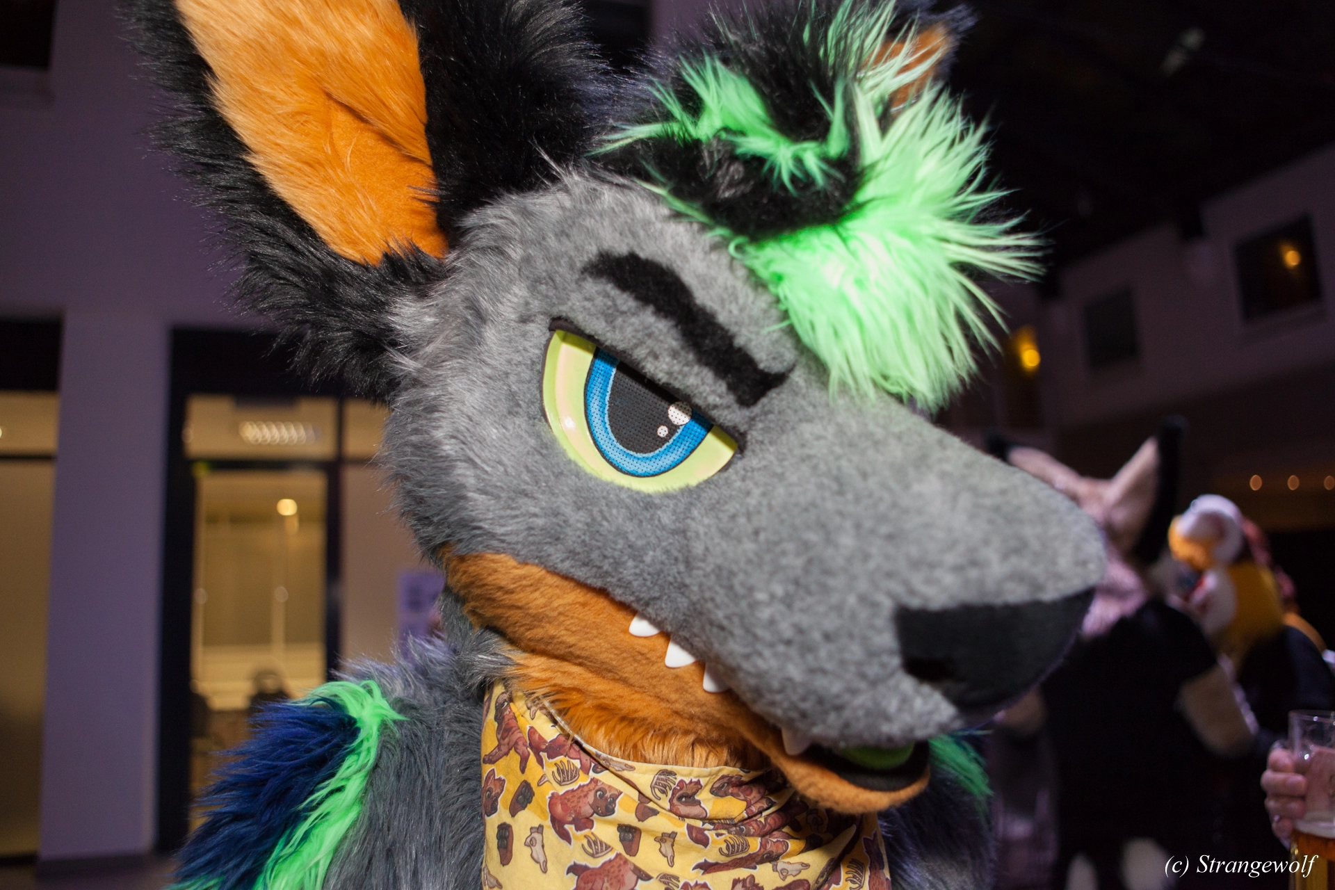 full image IMG_4843-lr19t.jpg