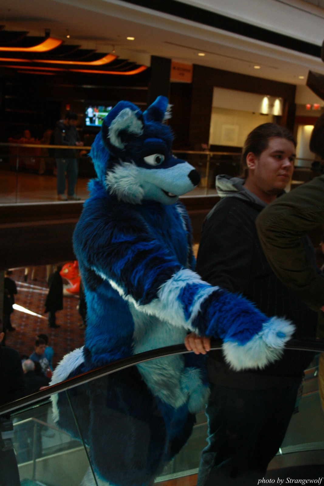 full image IMG_0967-lr.jpg