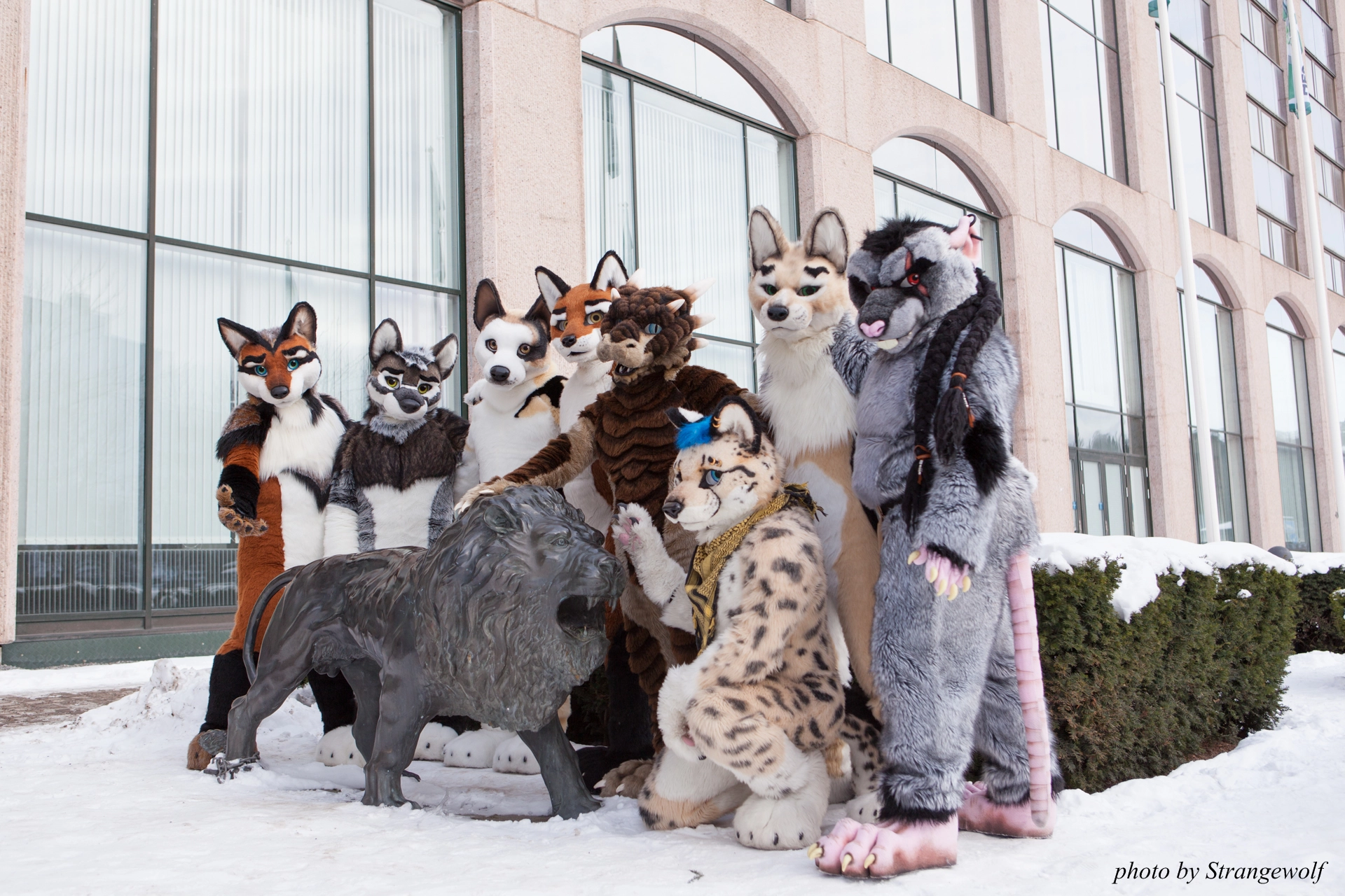 full image IMG_0288-lr19t.jpg